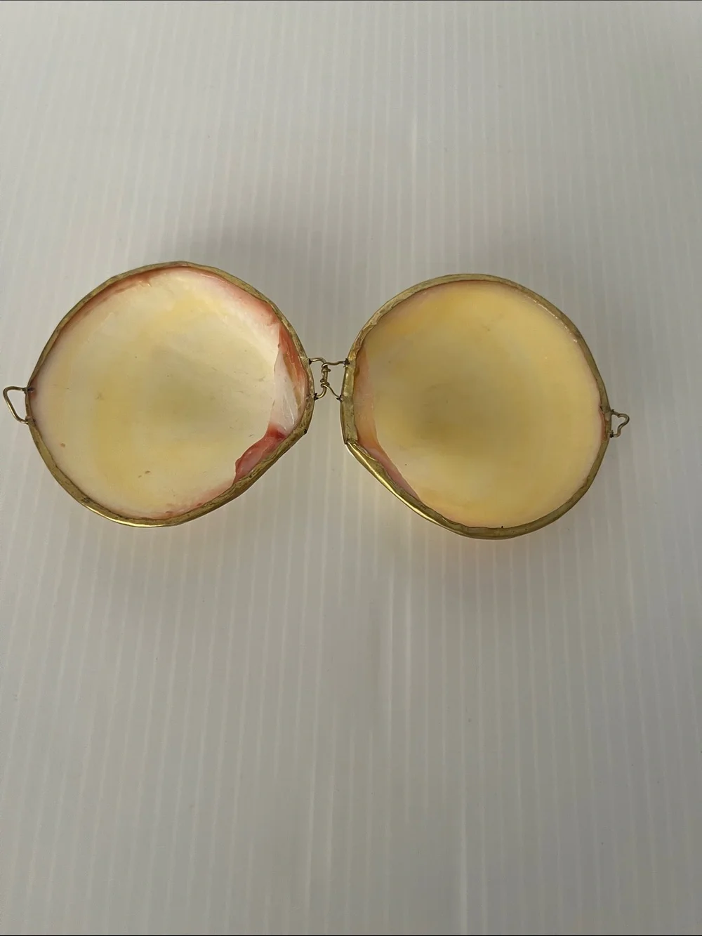 Vintage Polished Natural Clam Shell Trinket Box